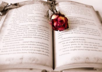 Unveiling the Most-Anticipated Books of December 2023