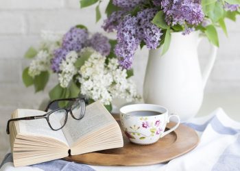 Unveiling the Literary Gems of Fall and Winter: 25 Books to Enrich Your Reading List